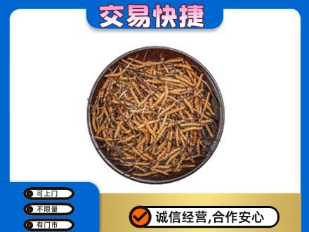 云浮回收散虫草